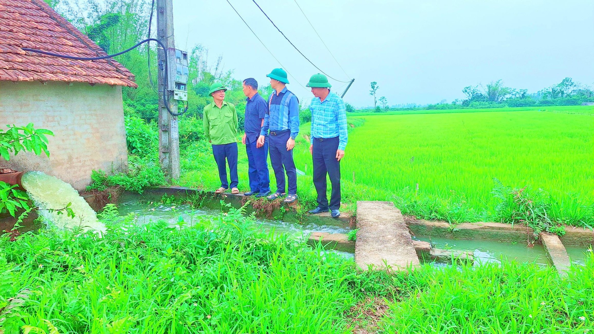 Đức Quang: Chủ động vận hành hiệu quả hệ thống trạm bơm, đảm bảo cung cấp đủ nước, kịp thời phục vụ đồng ruộng.