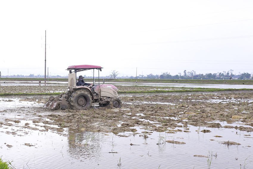 Nông dân Đức Quang phấn khởi bước vào vụ sản xuất mới