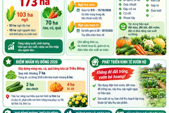 Đức Quang: Chỉ đạo sản xuất vụ Đông 2026 theo phương châm “Chủ động từ sớm – linh hoạt thời vụ – tập trung vùng lợi thế”.