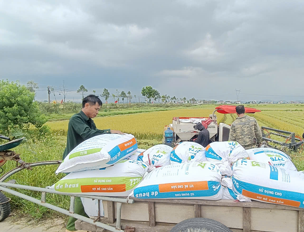 Đảng ủy xã Đức Quang ban hành văn bản chỉ đạo chủ động ứng phó với mưa lớn, nguy cơ lũ quét, sạt lở đất