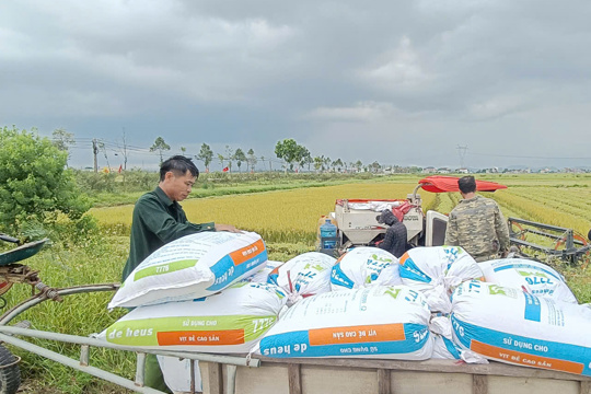 Đảng ủy xã Đức Quang ban hành văn bản chỉ đạo chủ động ứng phó với mưa lớn, nguy cơ lũ quét, sạt lở đất