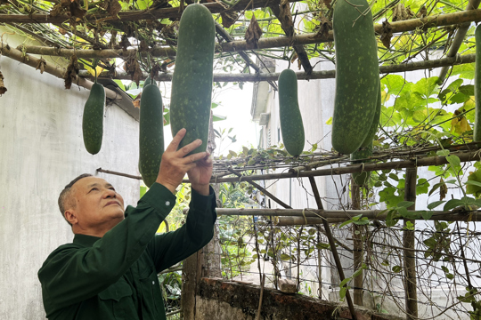 Nông nghiệp xanh – Cuộc sống an lành ở xã Đức Quang