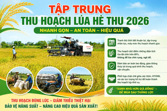 Đức Quang ban hành văn bản chỉ đạo tập trung đẩy nhanh tiến độ thu hoạch lúa Hè Thu, chủ động ứng phó với thời tiết.