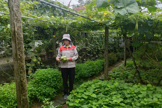Nông dân xã Đức Quang phát huy vai trò chủ thể, chung sức xây dựng quê hương 