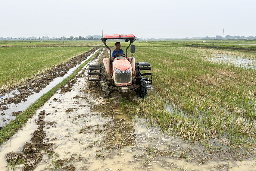 bài sx 15.jpg