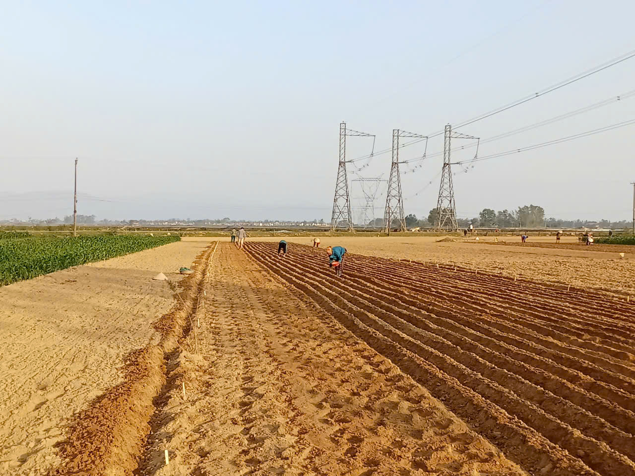 Nông dân xã Đức Quang thi đua lập thành tích chào mừng Đại hội đại biểu toàn quốc lần thứ XIV của Đảng.